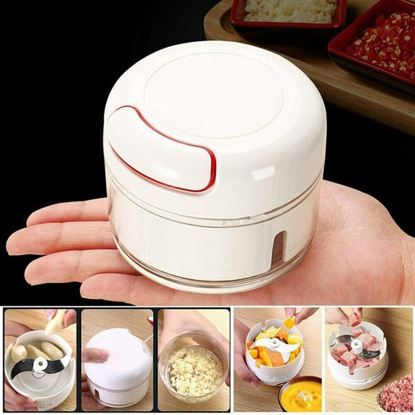 2402 Mini Garlic Chopper Mixer, Portable Cordless Grinder 